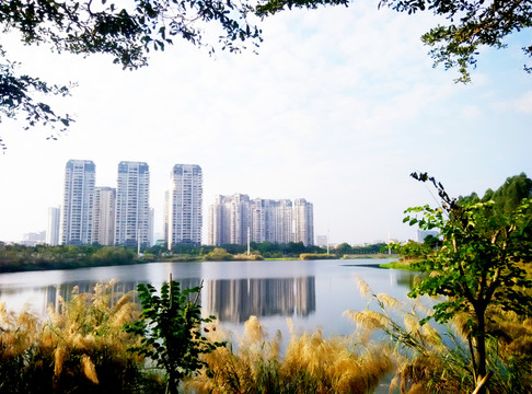 風景 遠方 地產 建筑