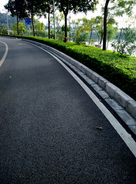 道路 跑道 花壇 公園