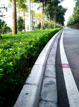 道路 跑道 花壇 公園