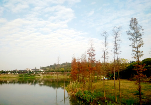 遠(yuǎn)眺 藍(lán)天綠地 秋意