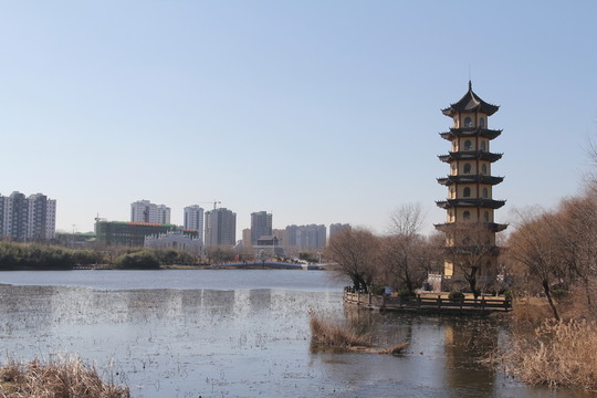 塔