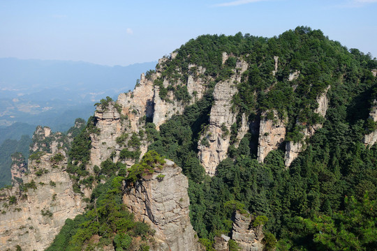 張家界山峰樹林