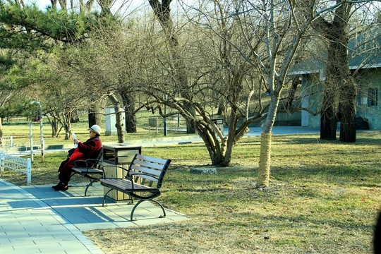 公園長椅