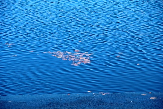 水紋