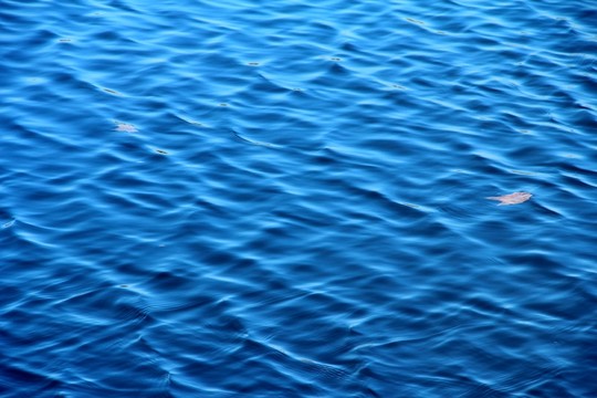 水紋
