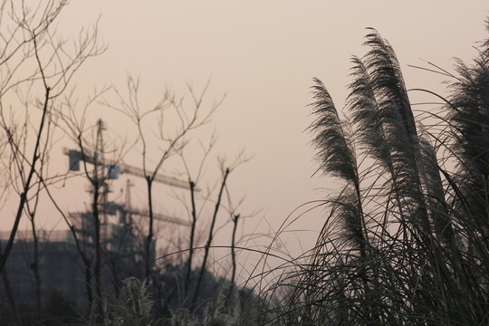 黃昏