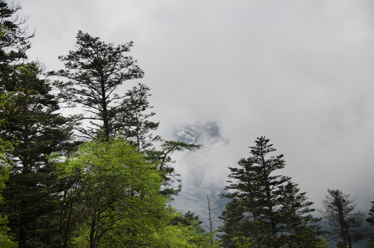 玉龍雪山