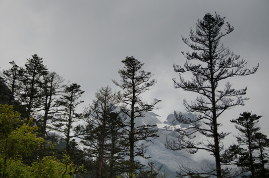 玉龍雪山