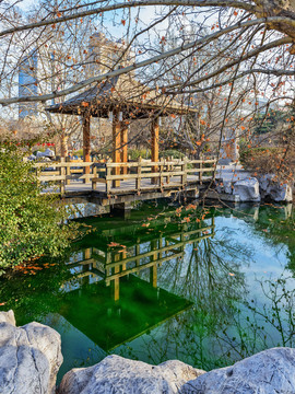 淄博人民公園