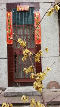 春聯(lián)梅花迎春到  （3）