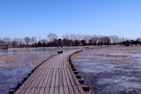 木棧道