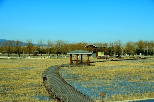 濕地木棧道