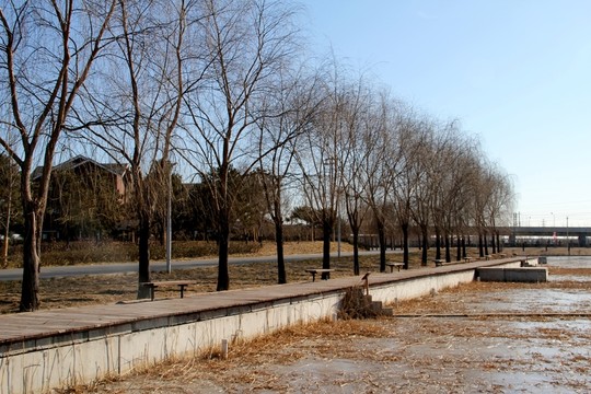 冬季湖面