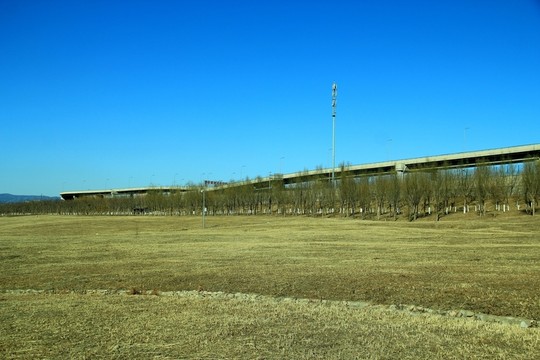 曠野