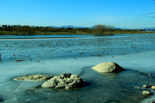 園博湖