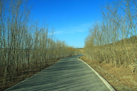 小路
