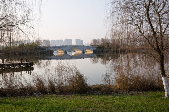 洋湖公園