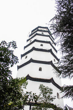 龍爪塔