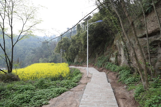 步道