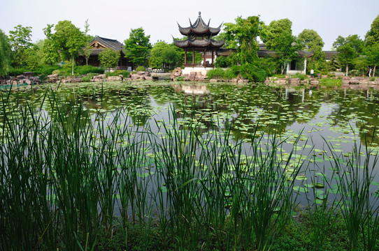 杭州西溪濕地高莊
