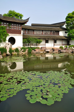 杭州西溪濕地高莊