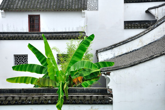 杭州西溪濕地洪鐘別業(yè)