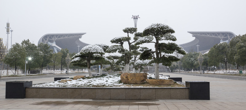 雪后體育場(chǎng)