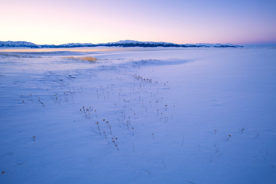 雪景