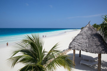 桑給巴爾島 Zanzibar