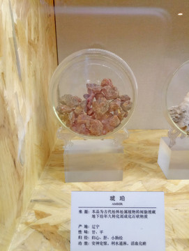 琥珀 名貴中藥材 中草藥 中
