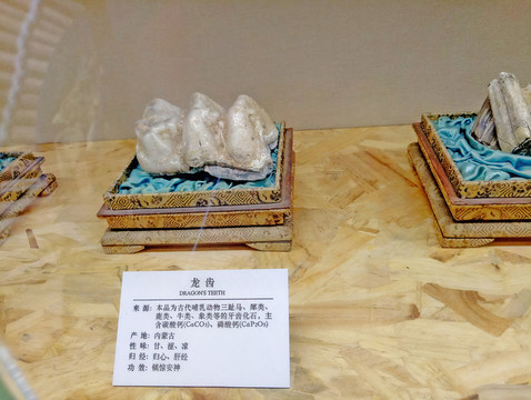 龍齒