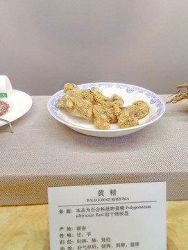 黃精 標(biāo)本 中草藥 中醫(yī)