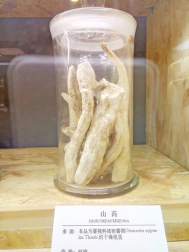 山藥 中草藥 中藥材 中醫(yī)