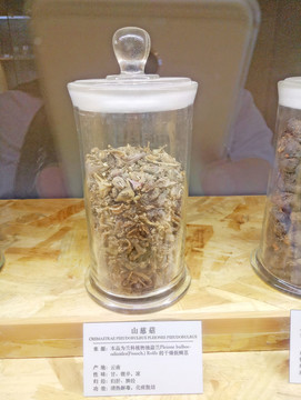 山蔥菇 中草藥 中藥材 中醫(yī)