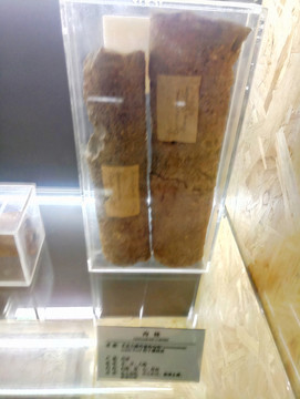 厚樸 筒樸