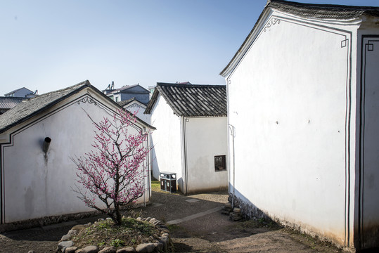 新農(nóng)村風(fēng)光