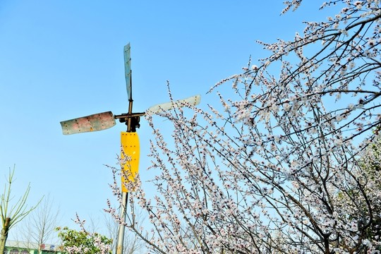 風(fēng)車