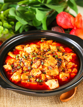 麻婆豆腐