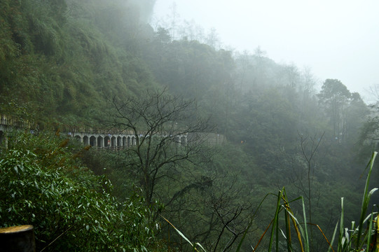 峨眉山 霧氣