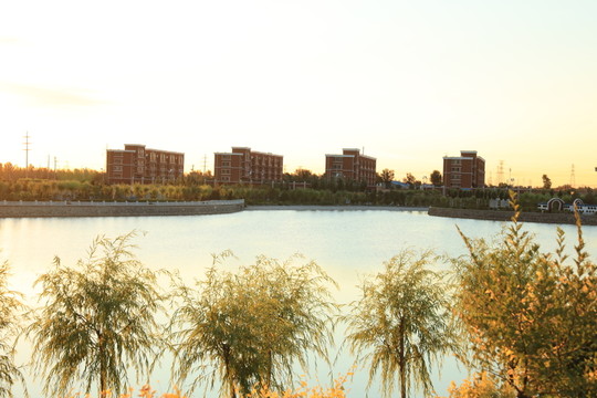 靚麗開(kāi)魯