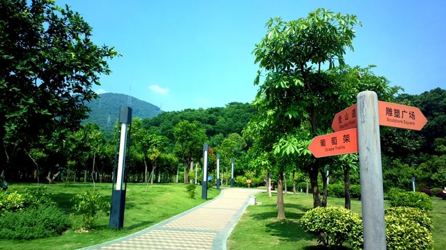 公園