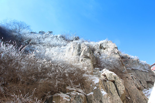 泰山雪景