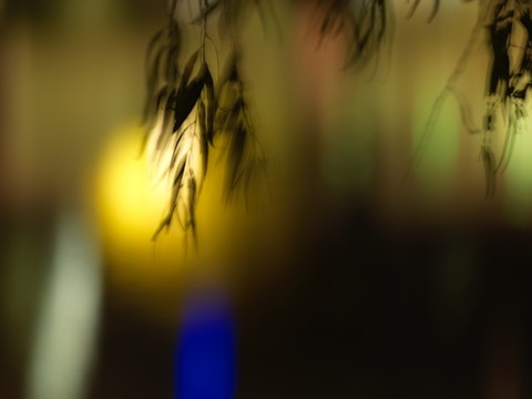 秋風(fēng)霓影