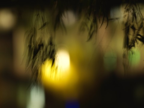 秋風(fēng)霓影