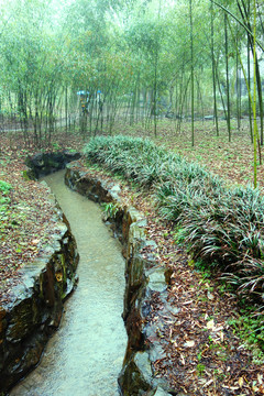 竹林小路