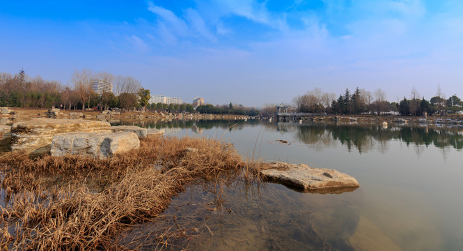 白龜湖濕地公園