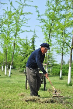草坪護(hù)理  園藝