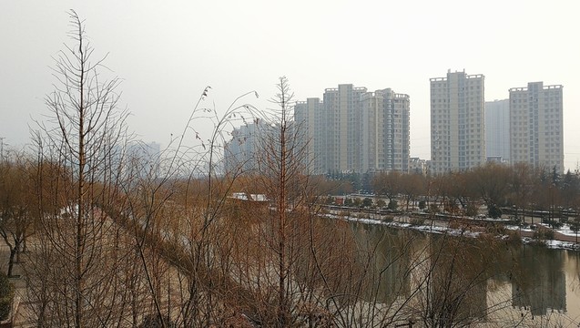 宿州三角洲生態(tài)公園