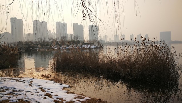 宿州三角洲生態(tài)公園