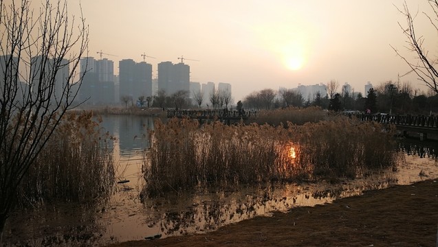安徽省宿州市三角洲生態(tài)公園
